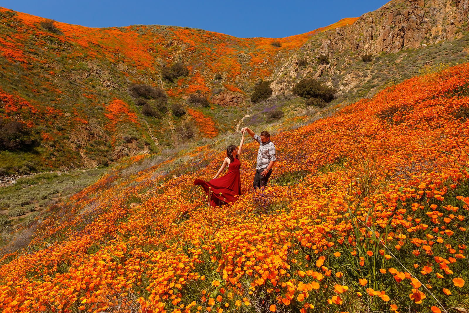 Engaged couple in a field of flowers.