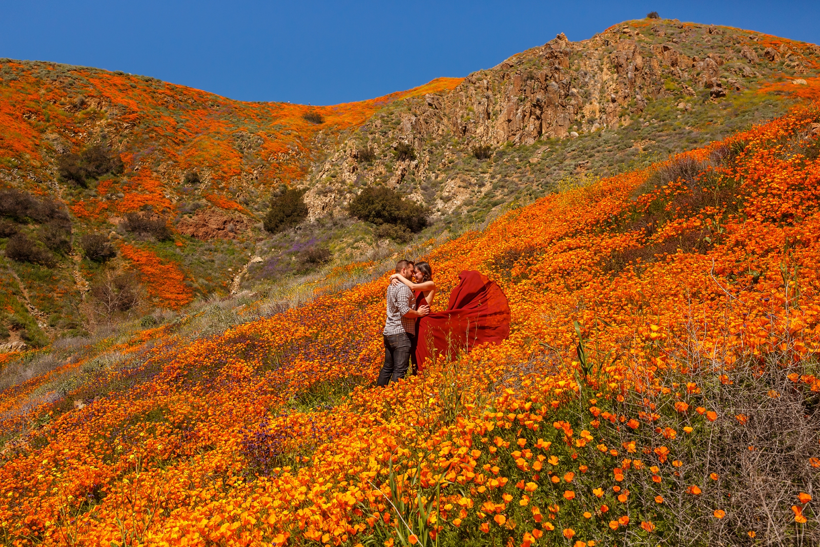 Couple dancing in a CA poppy field