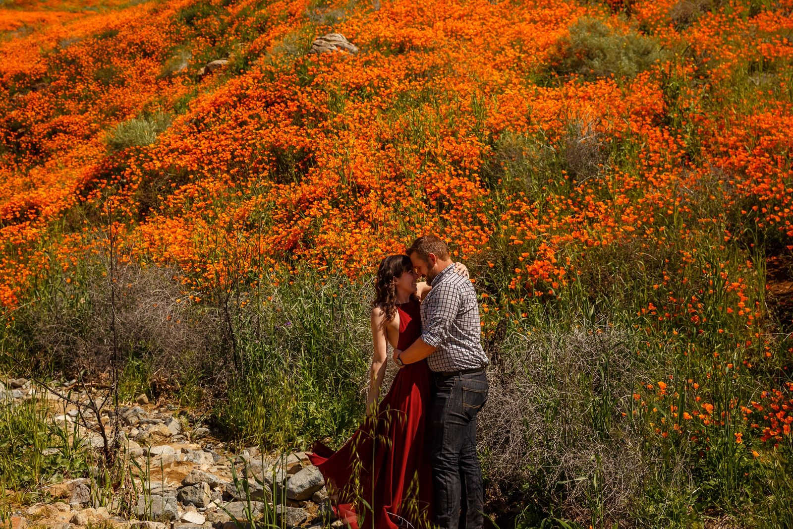 Engagement session in Lake Elsinore during the super bloom