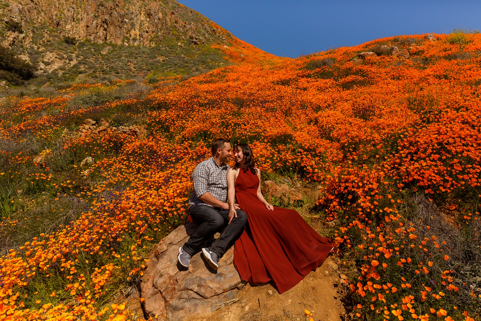 Couple sitting on a boulder instead of in the wildflowers.