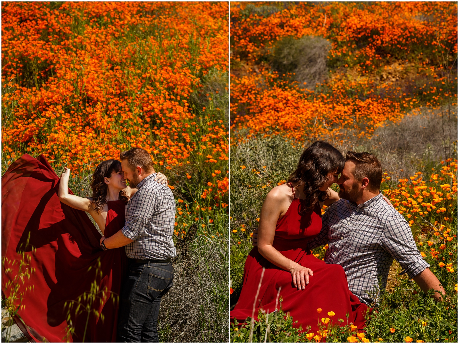Engagement session in California poppies fields