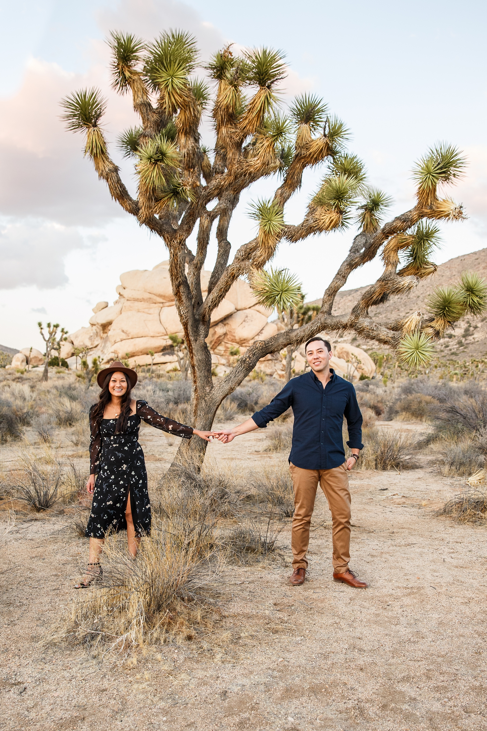 Engaged couple in front of a Joshua Tree at sunset. 