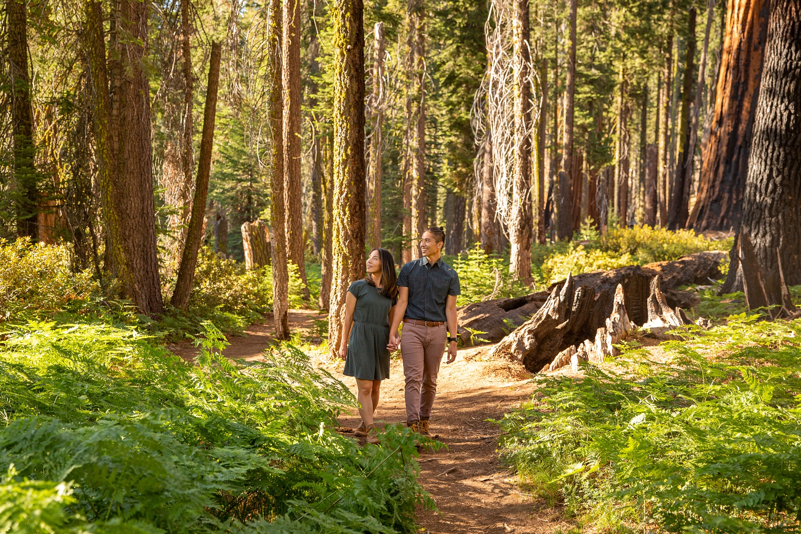 Hiking couple at their Sequoia National Park engagement session.