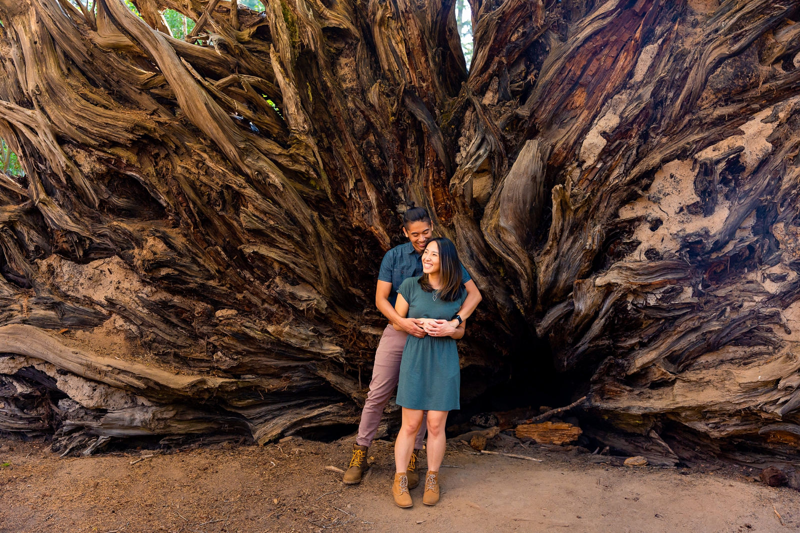 Adventurous engaged couple by a fallen Sequoia tree in Sequoia national park. 