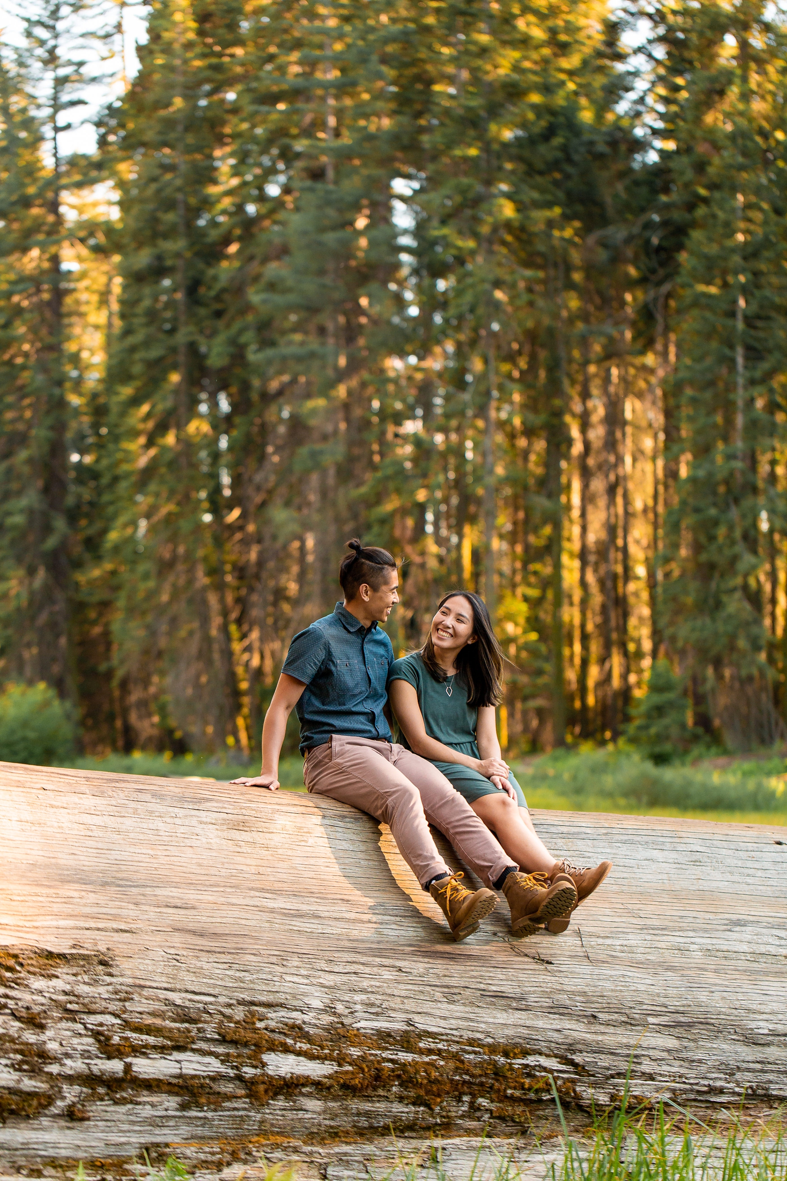 An engaged couple on a log in Sequoia National Park.