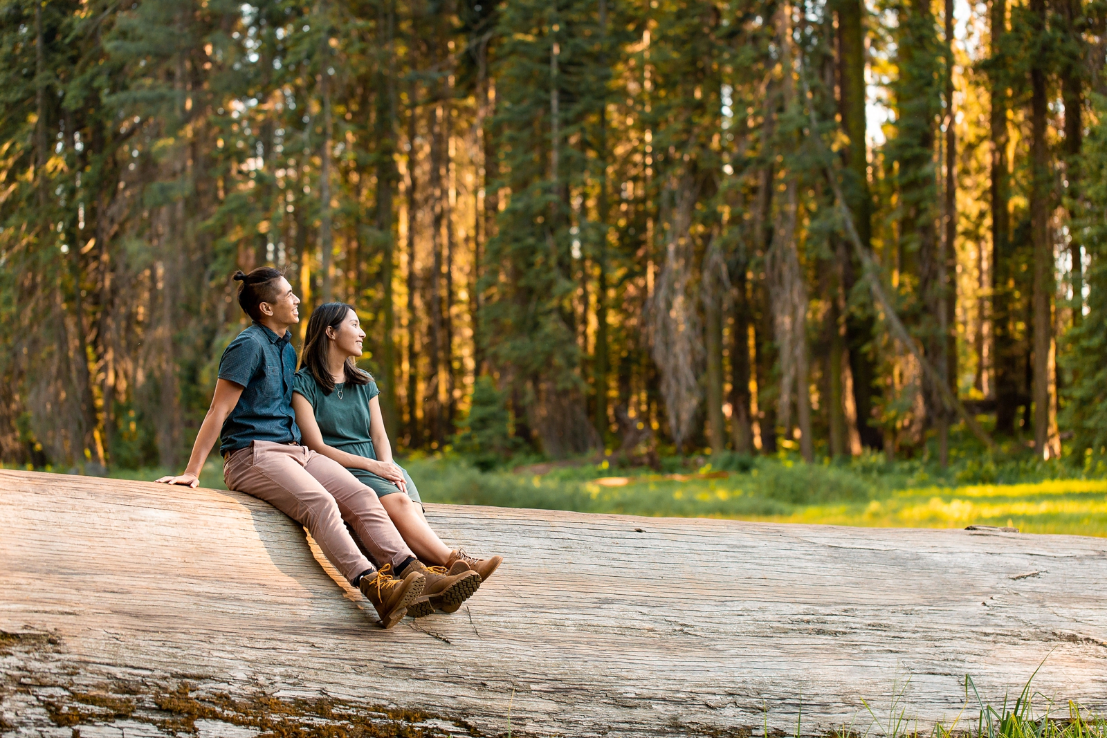 An engaged couple at golden hour in Sequoia National Park.