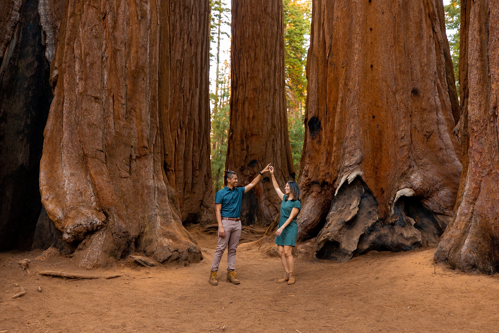 An engaged couple dancing by numerous giant sequoias at Sequoia National Park.