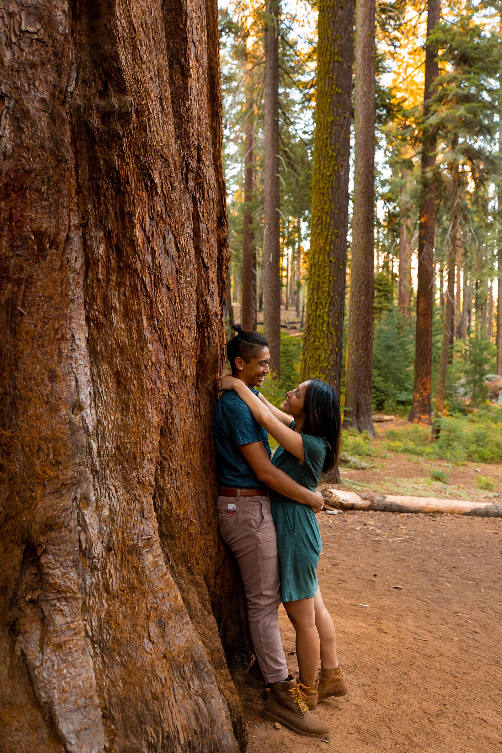This couple got engaged in Sequoia National Park.