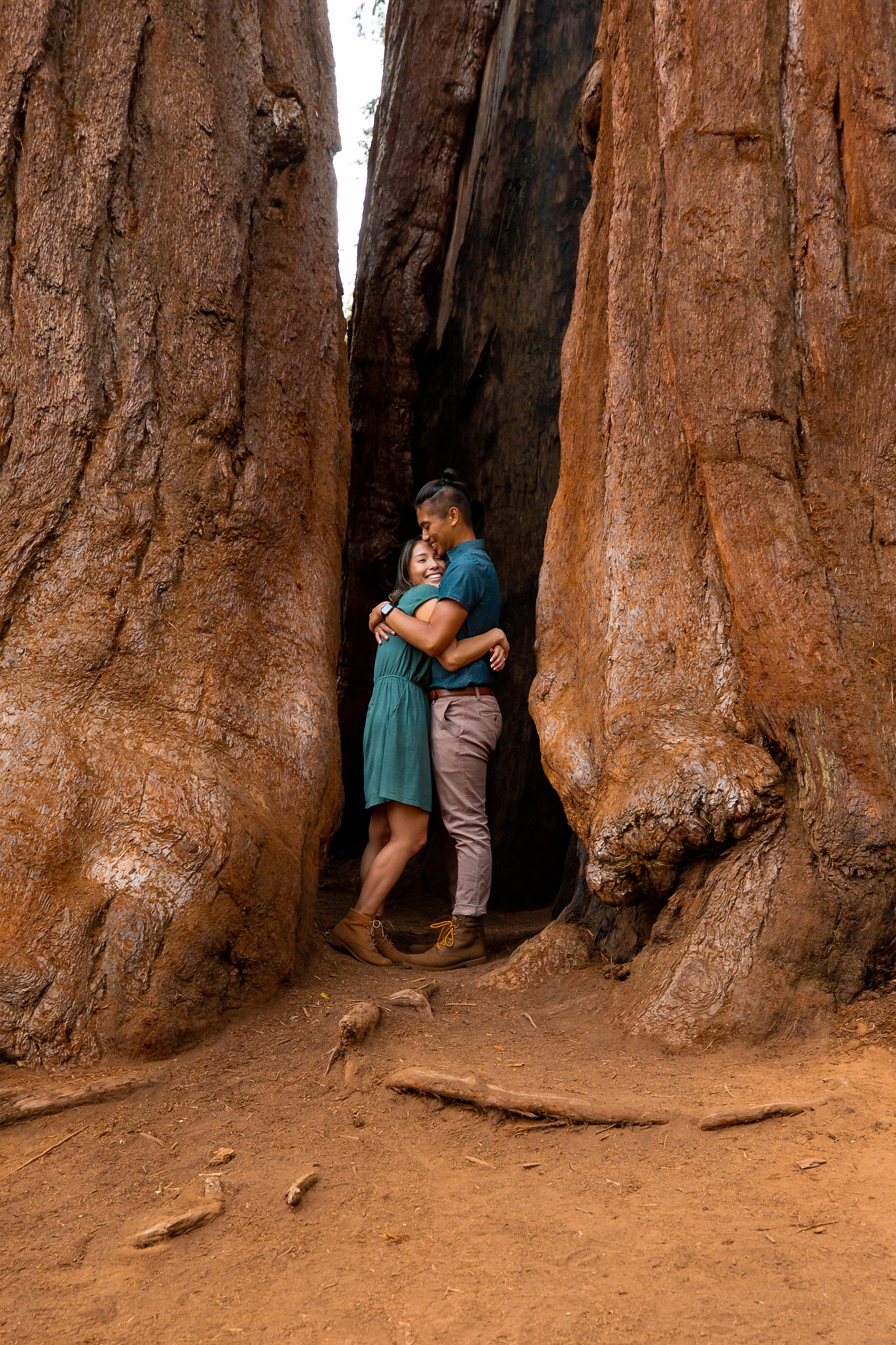 Hugging engaged couple inside at tree at Sequoia National Park.