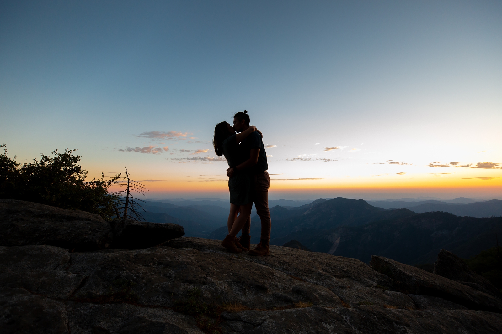 Silhouetted kissing couple at their Sequoia engagement session.