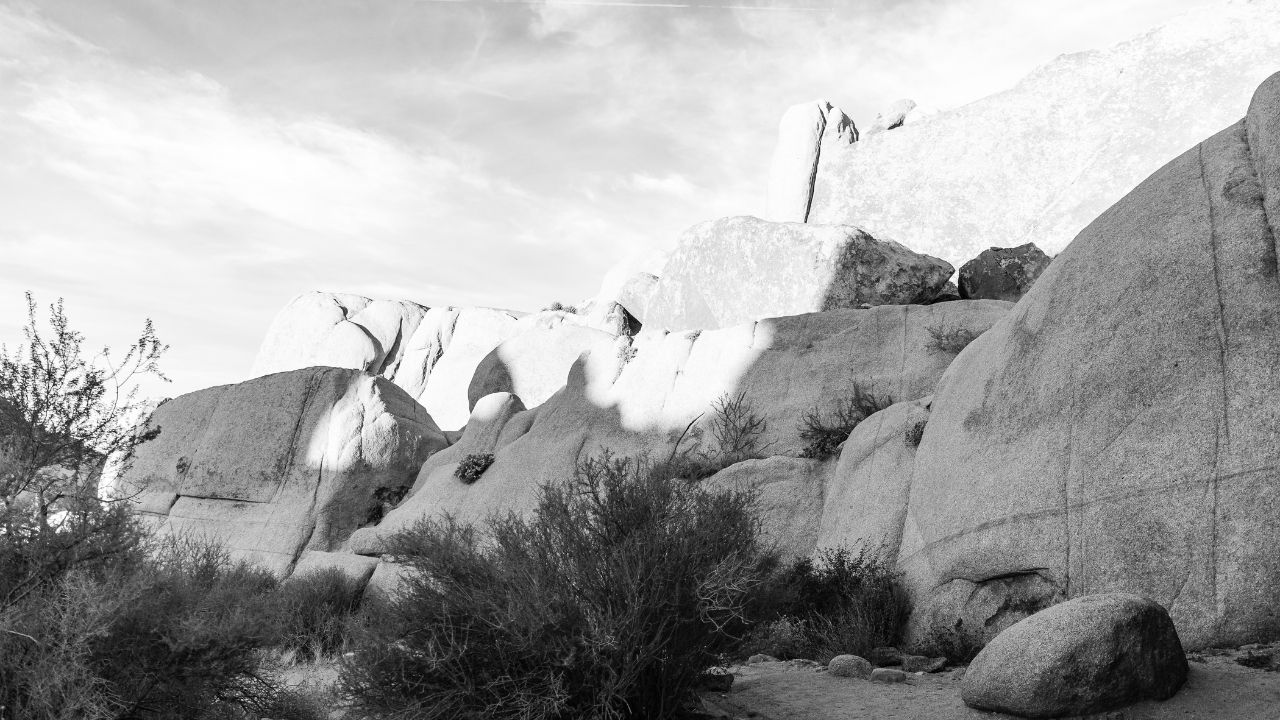 black and white photo of rocks at Joshua Tree National Park