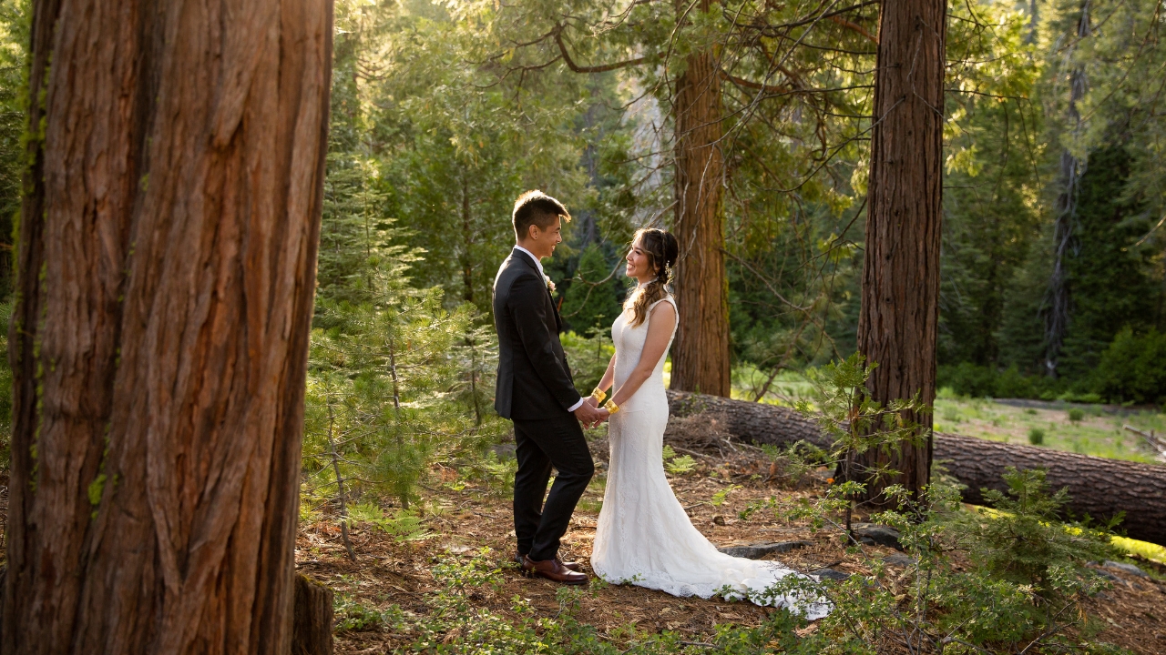 photo of bride and groom holding hands in the woods at Yosemite