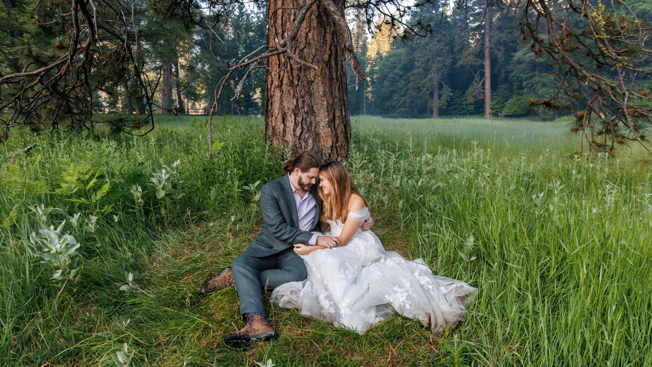 photo of bride and groom sitting in grass in front of a tree embracing
