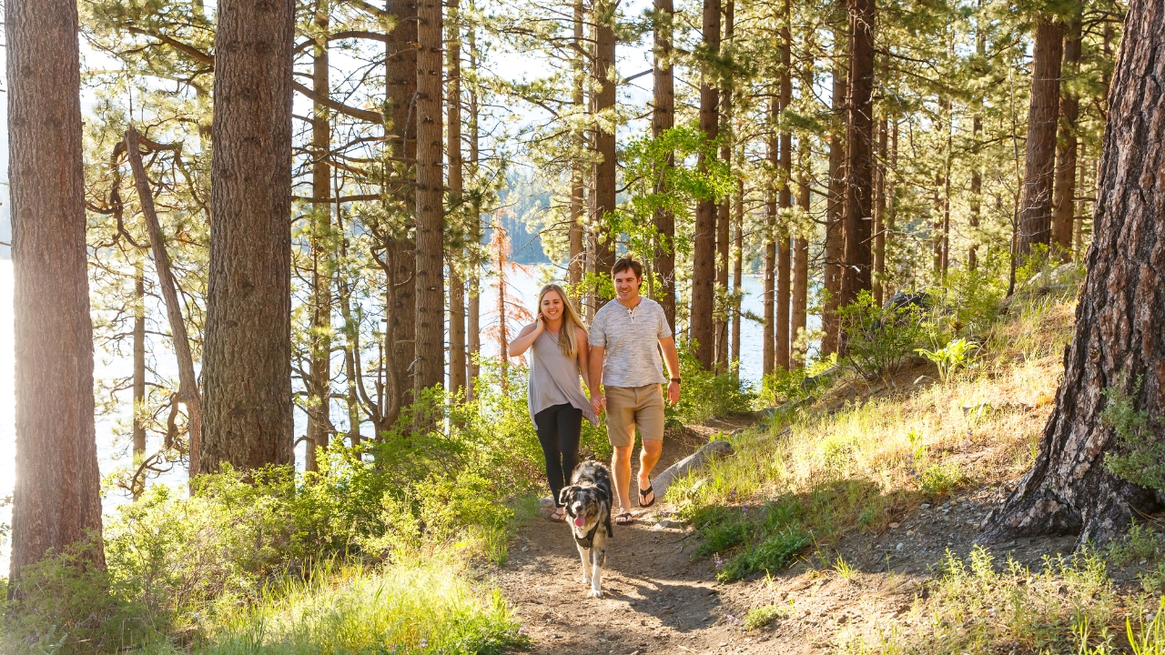 photo of couple walking along trail in Lake Tahoe with their dog