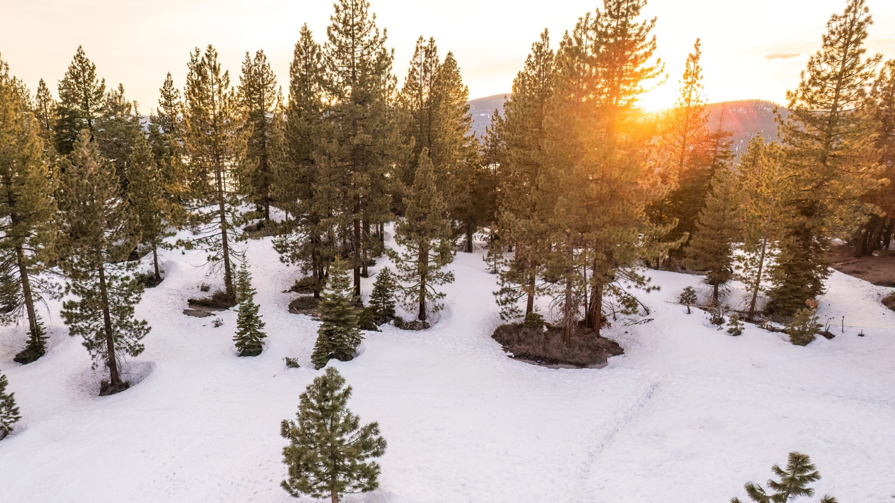 photo of snow covered land at Lake Tahoe