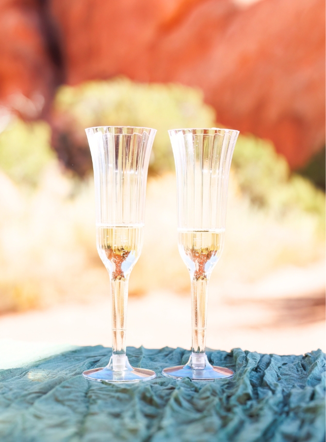 photo of two champagne glasses on a picnic table