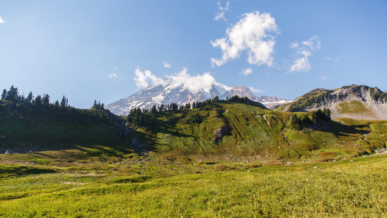 photo of mountain at Mt Rainier National Park on bright sunny day