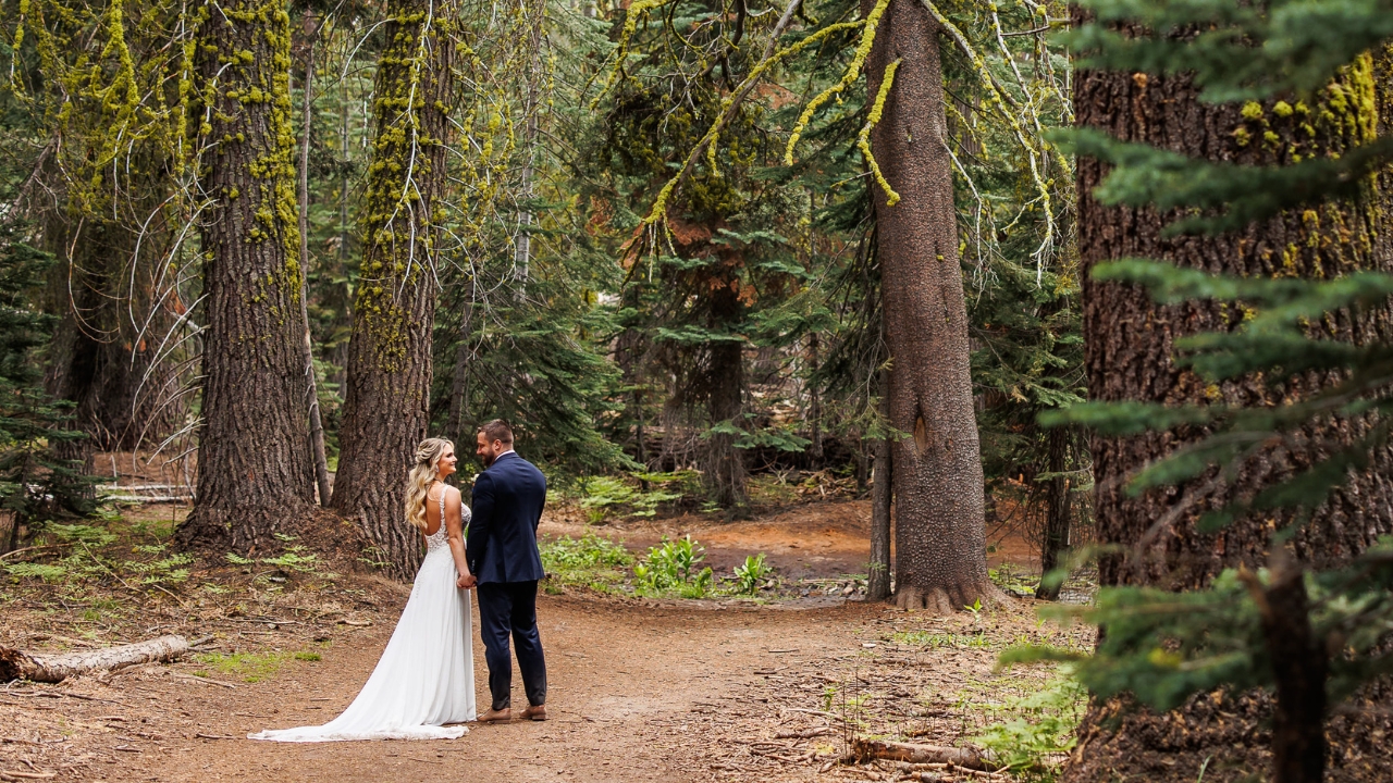 photo of bride and groom standing in woods holding hands and staring into each others eyes