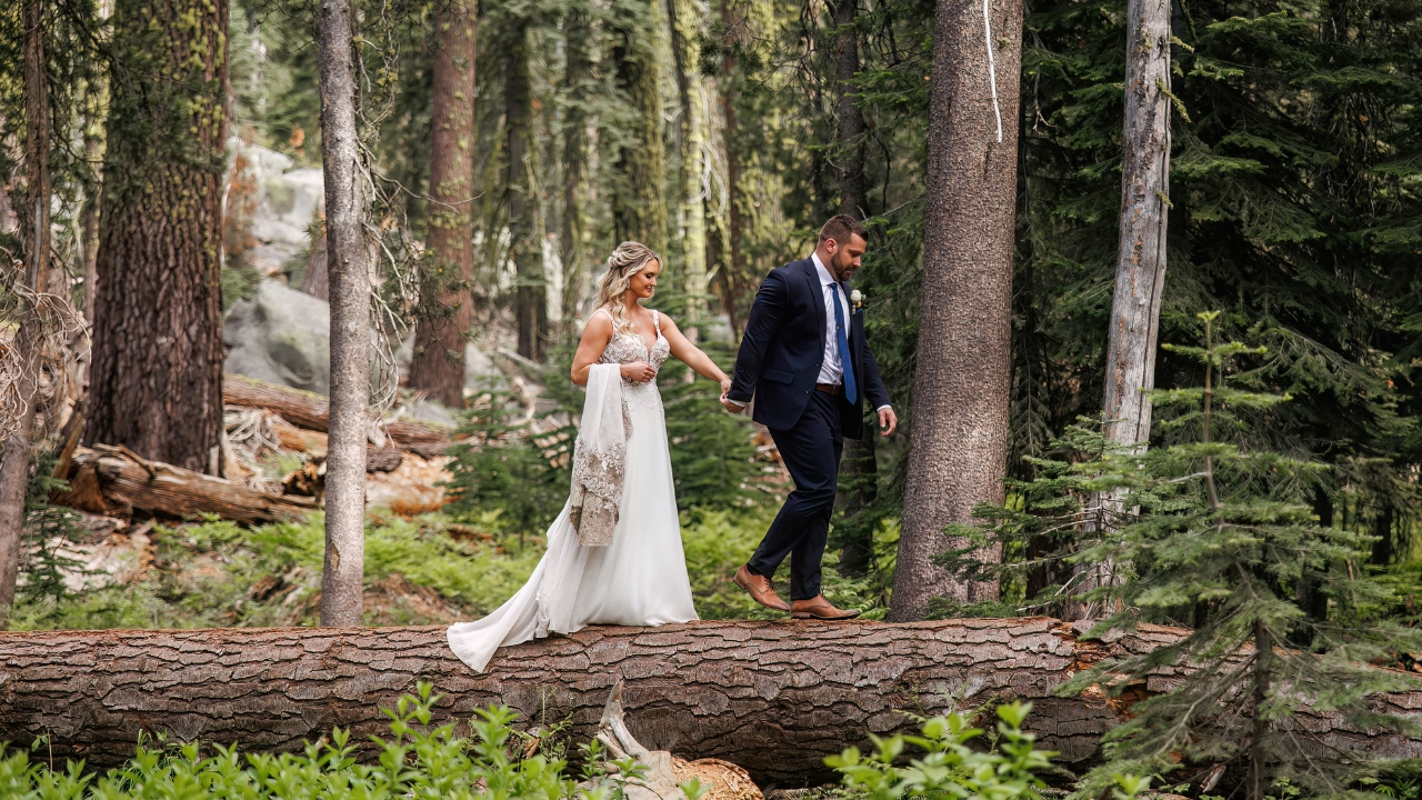 photo of bride and groom holding hands and walking along a fallen tree in Yosemite