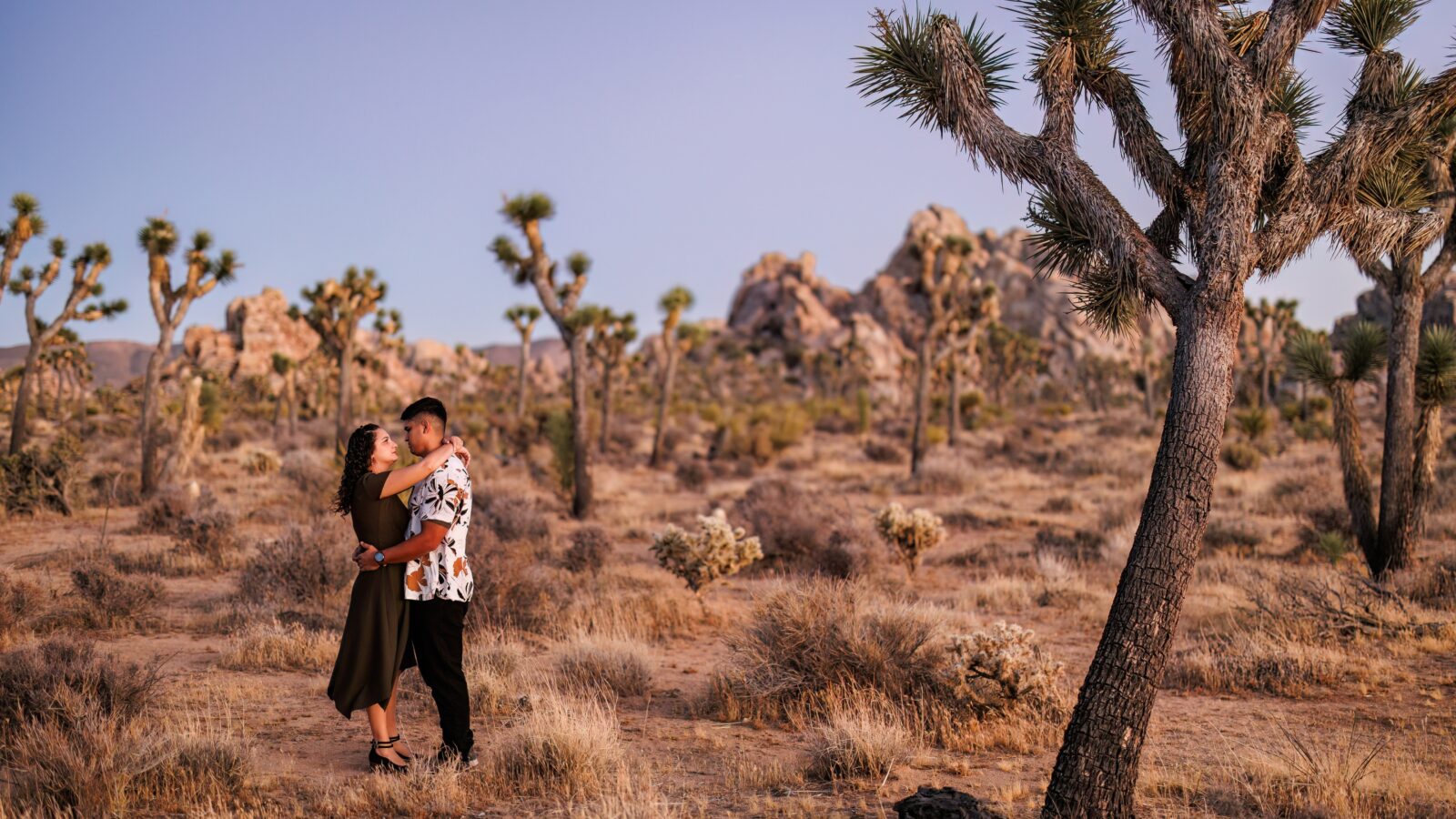 photo of couple holding each other in the desert with Joshua Trees surrounding them