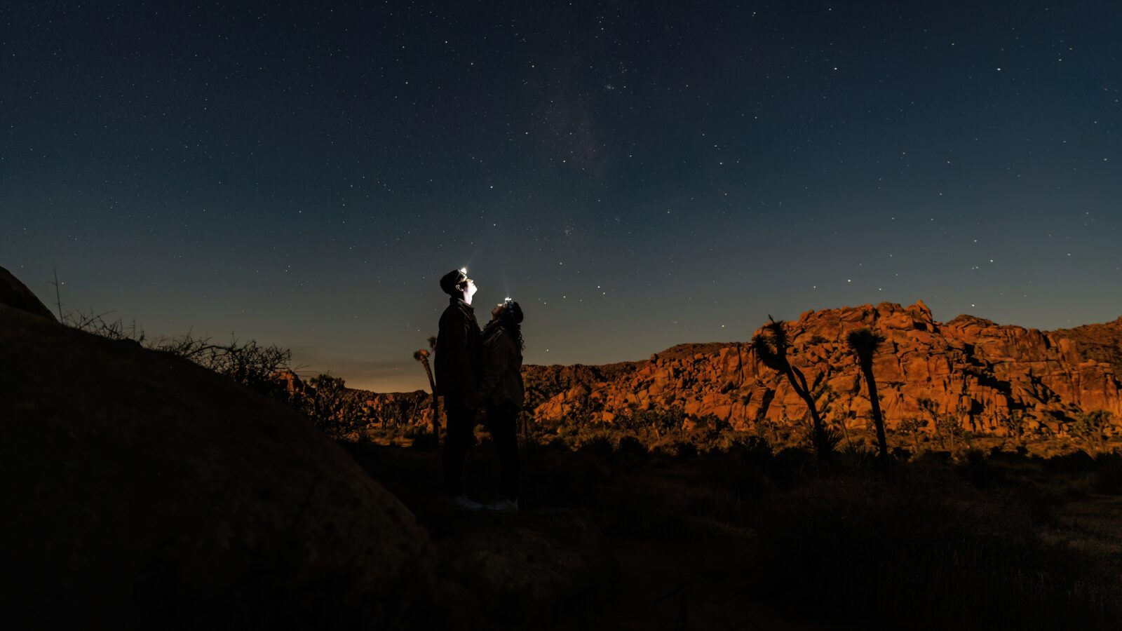 photo from far away of couple looking up at stars with head lamps on in Joshua Tree for engagement photoshoot