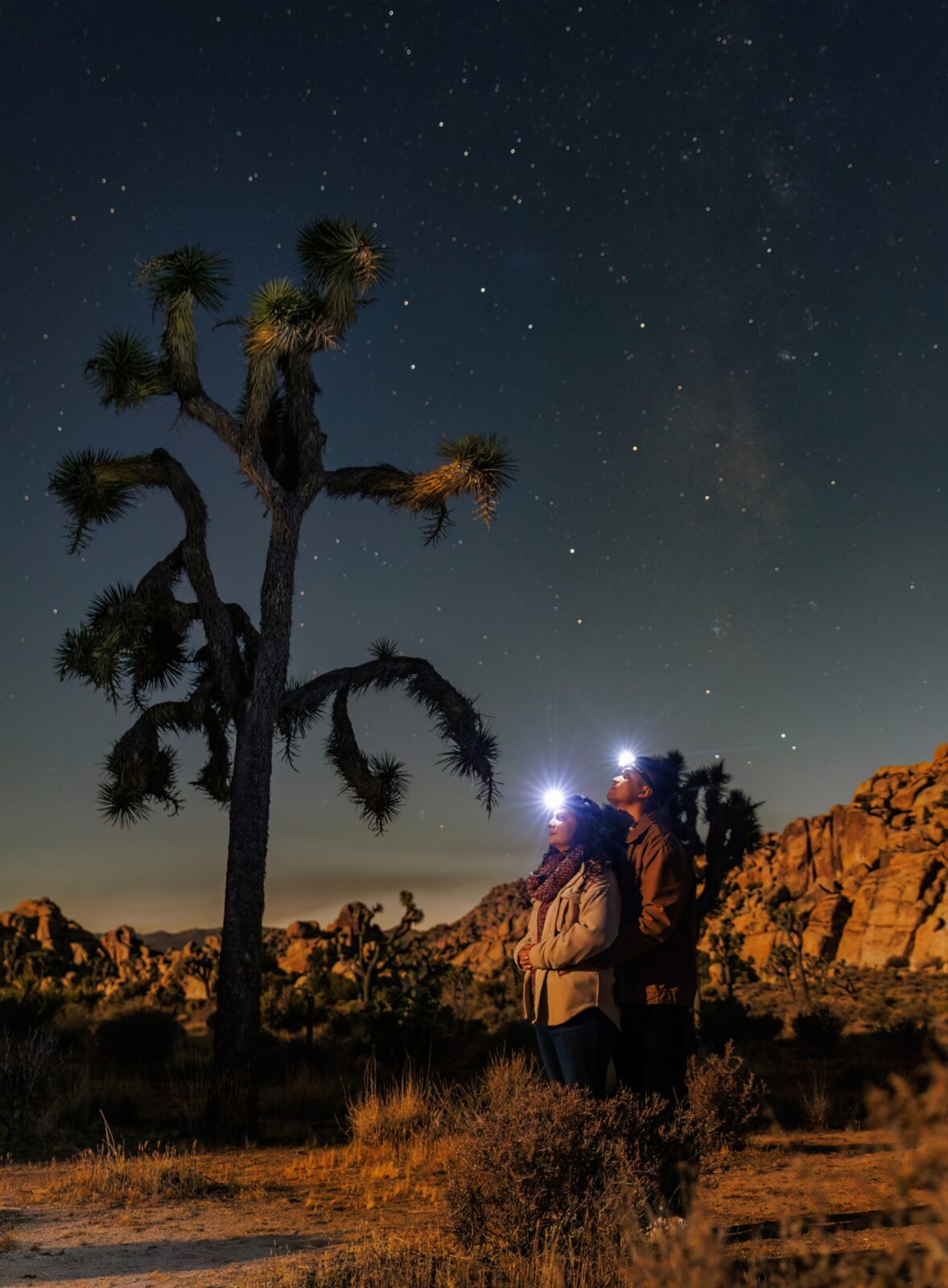 photo of man holding woman and staring up at the stars at Joshua Tree National Park for engagement session