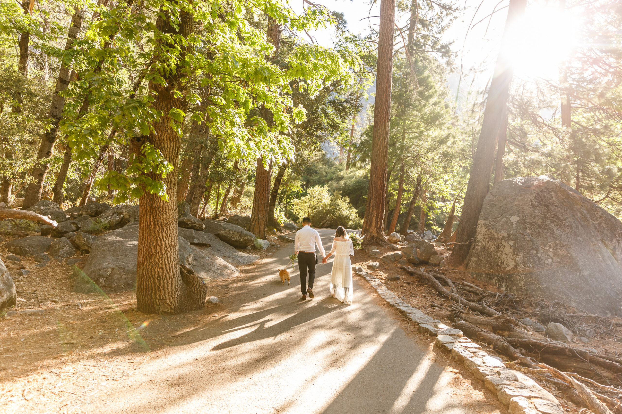 a couple walking to a waterfall to take a After Wedding Photoshoot