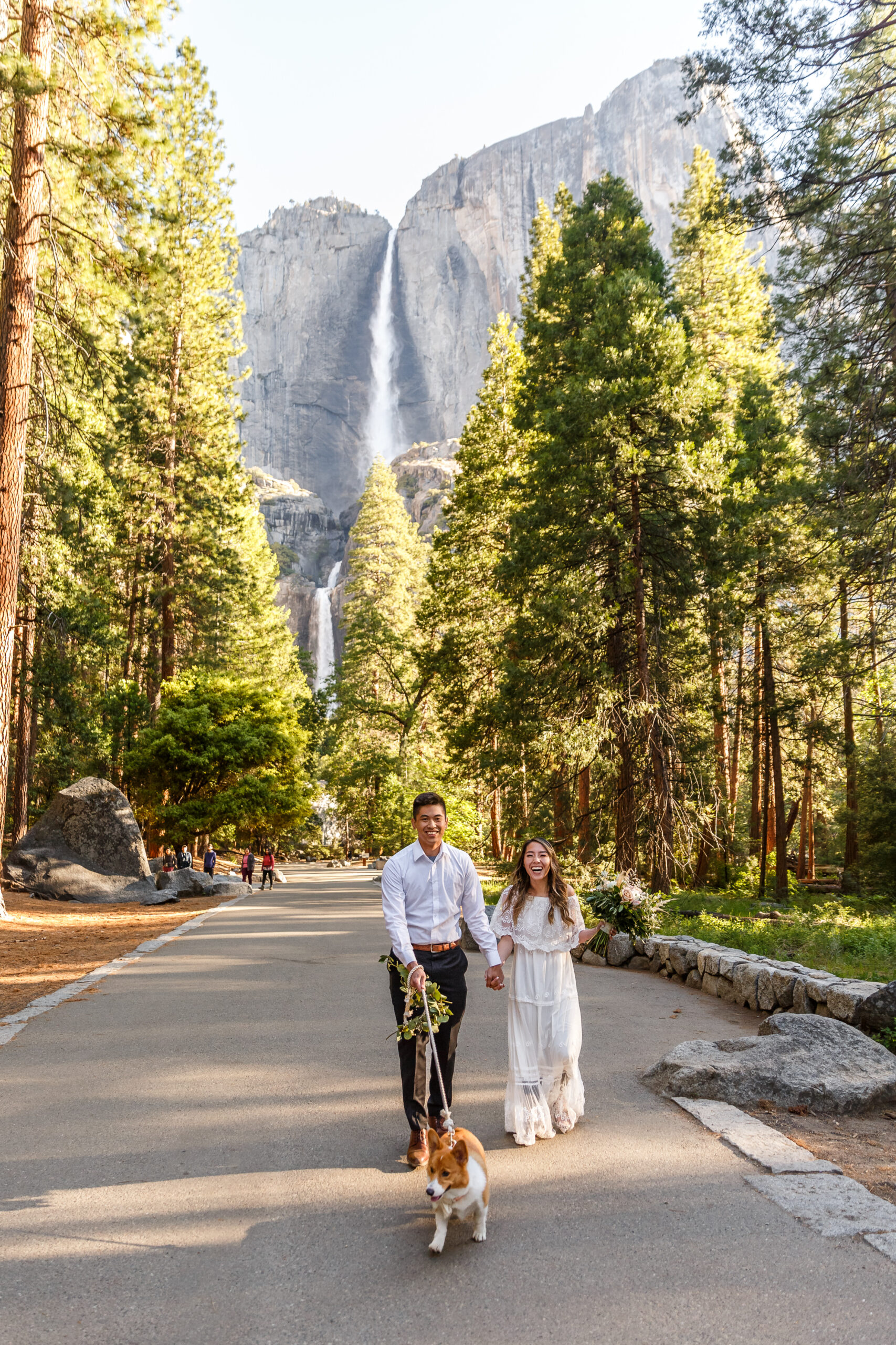 couple walking their dog during their After Wedding Photoshoot in Yosemite 