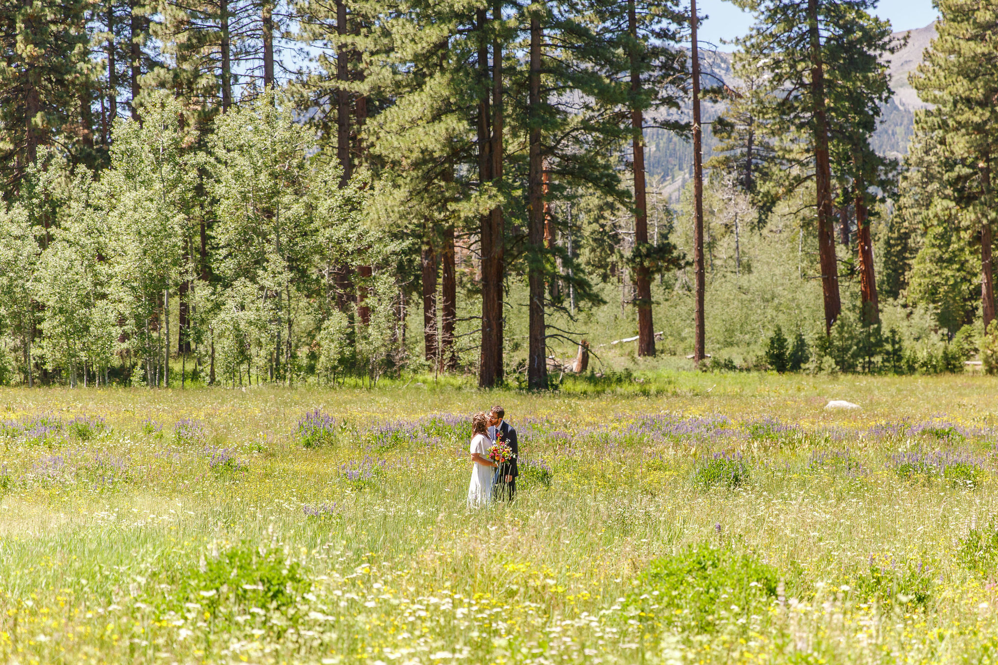 bride and groom kissing in the meadow in Lake Tahoe 