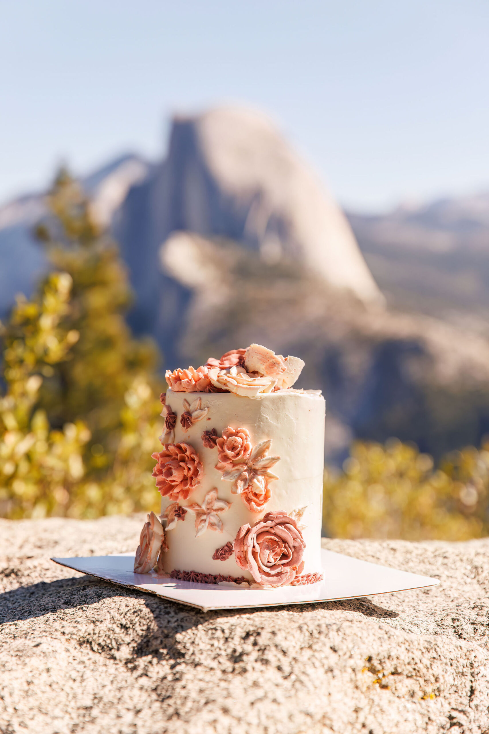 Yosemite elopement wedding cake 