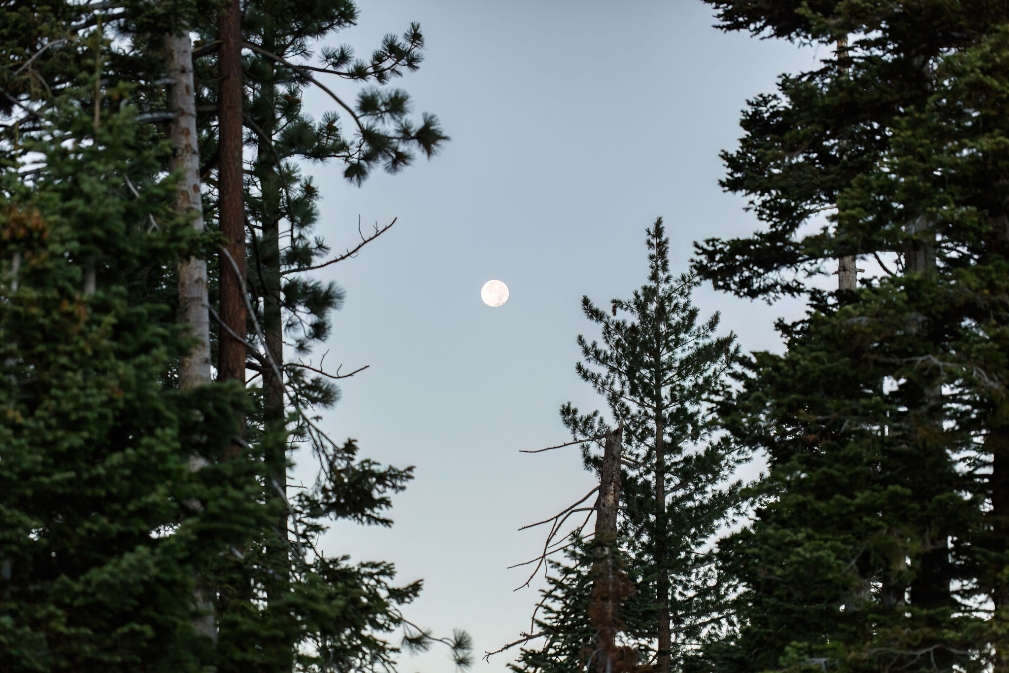 the moon during their sunrise first look