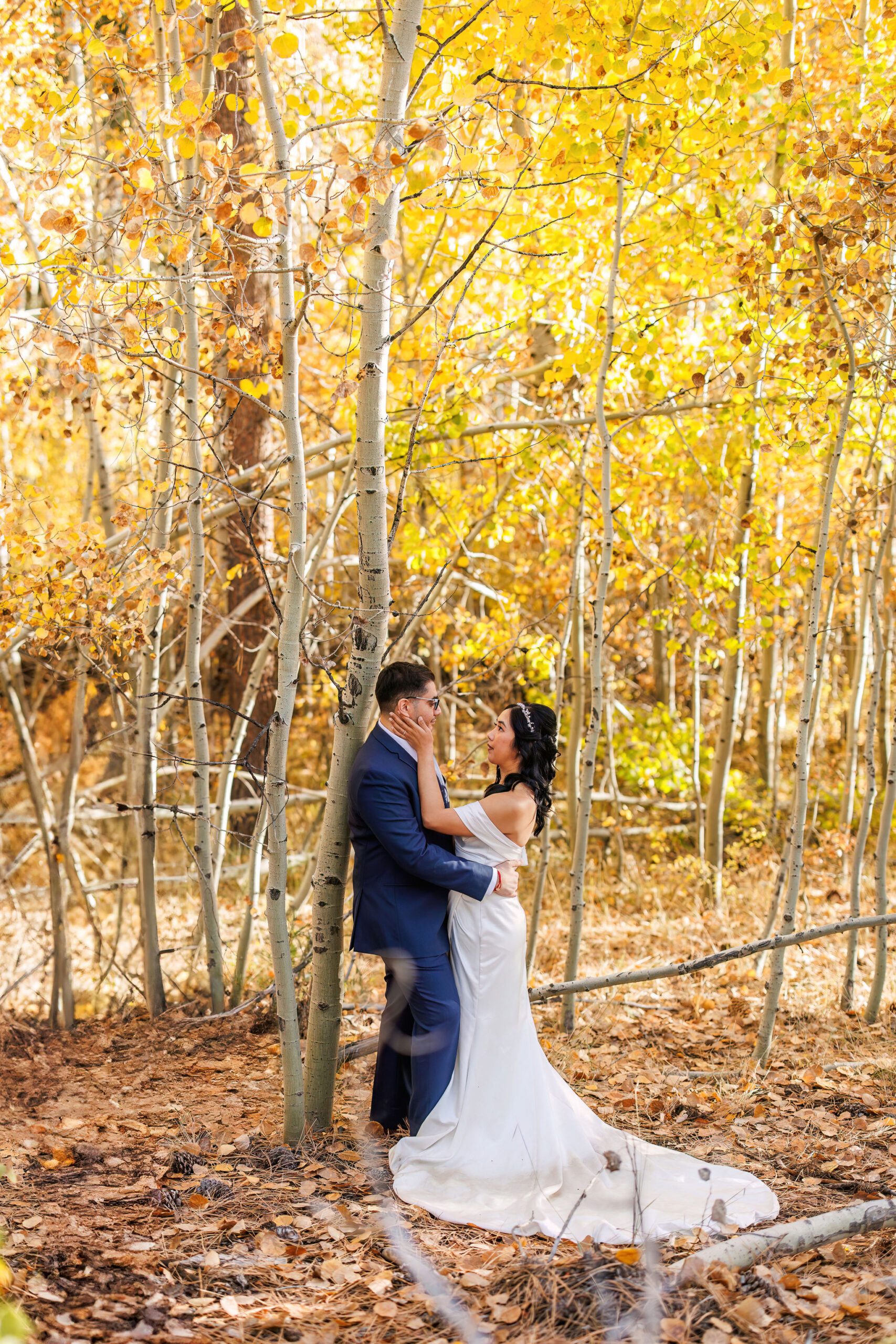 bridal couple portraits at Lake Tahoe 