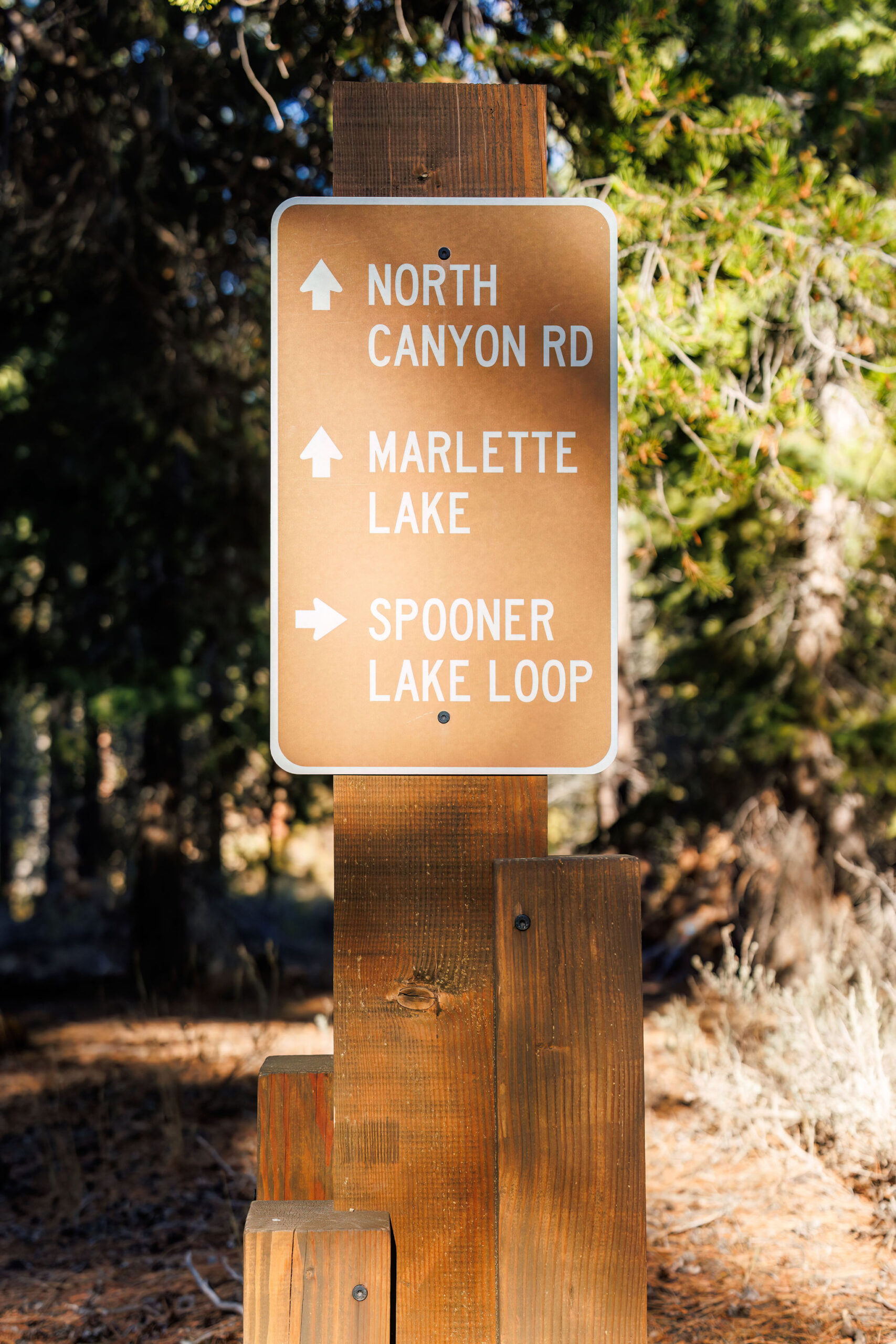 trail signs for a Elopement in Lake Tahoe