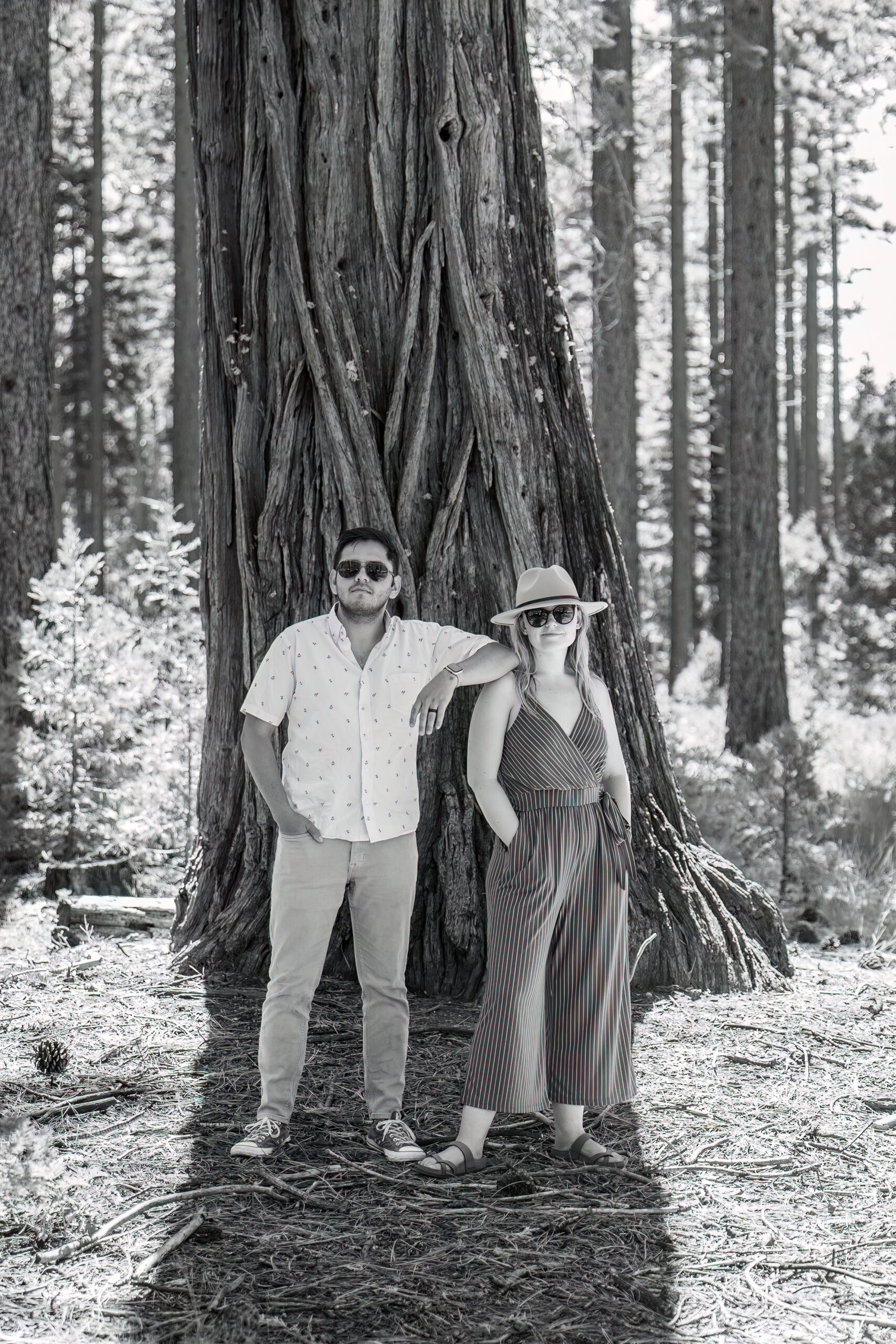newly engaged couple posing in front of a tree for fun Lake Tahoe engagement photos