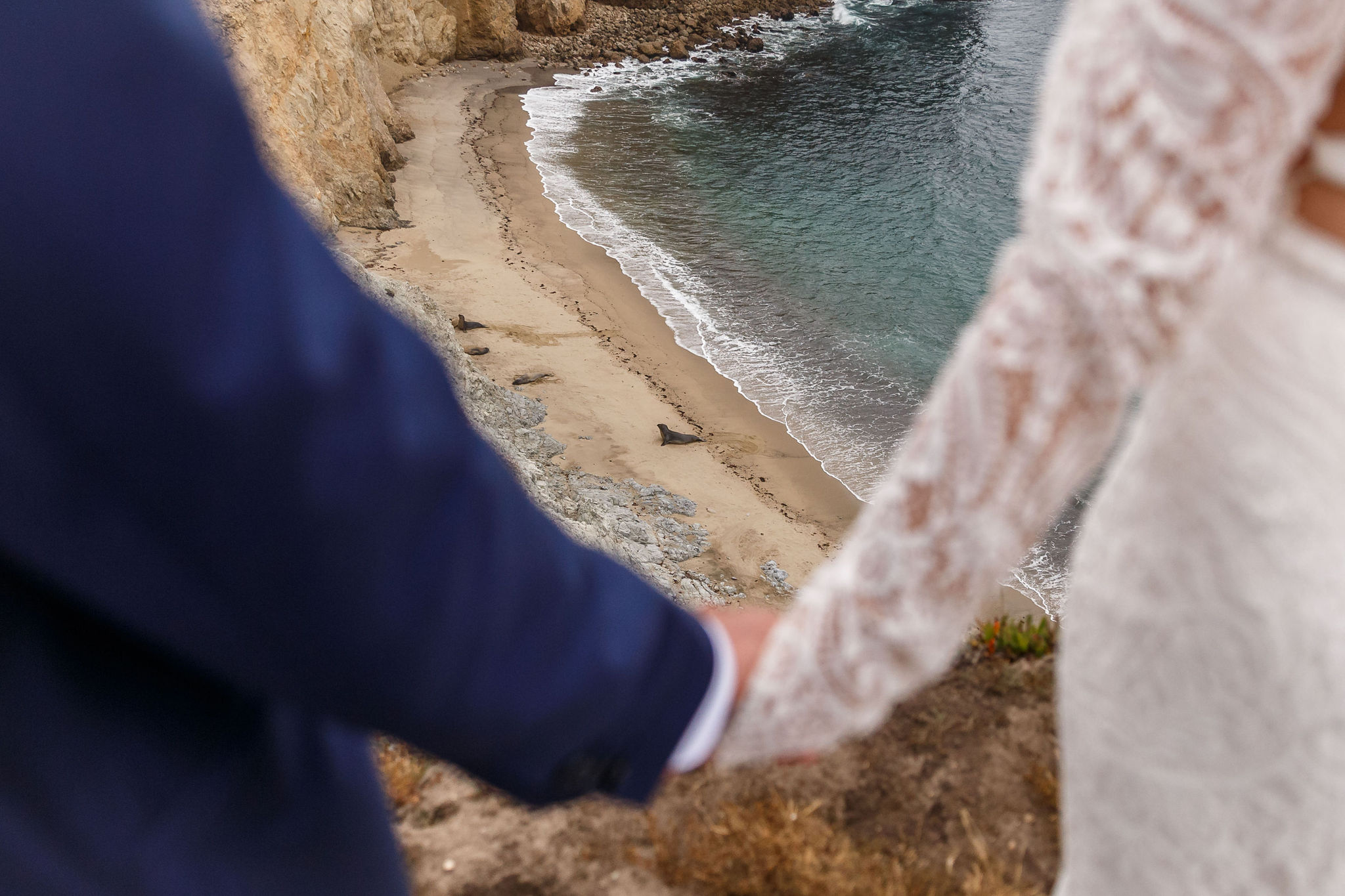newly weds holding hands with a view of sea lions on the beach below