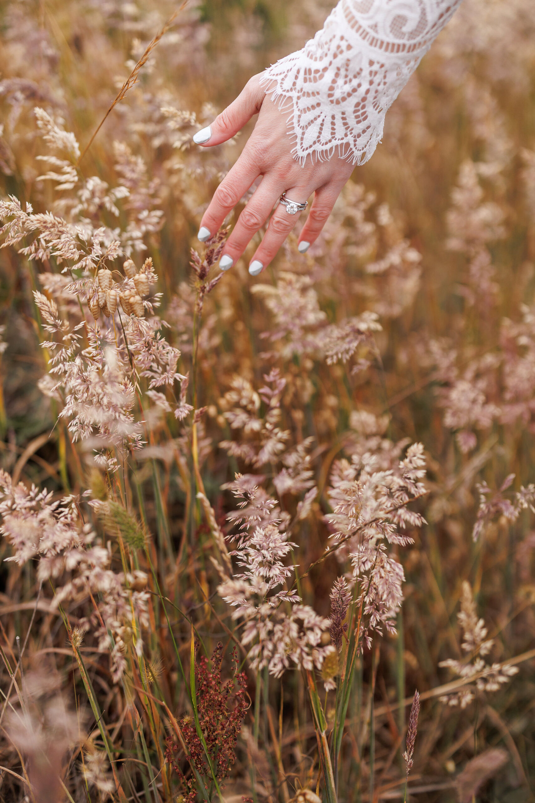 the bride's hand as she runs it through the long grass
