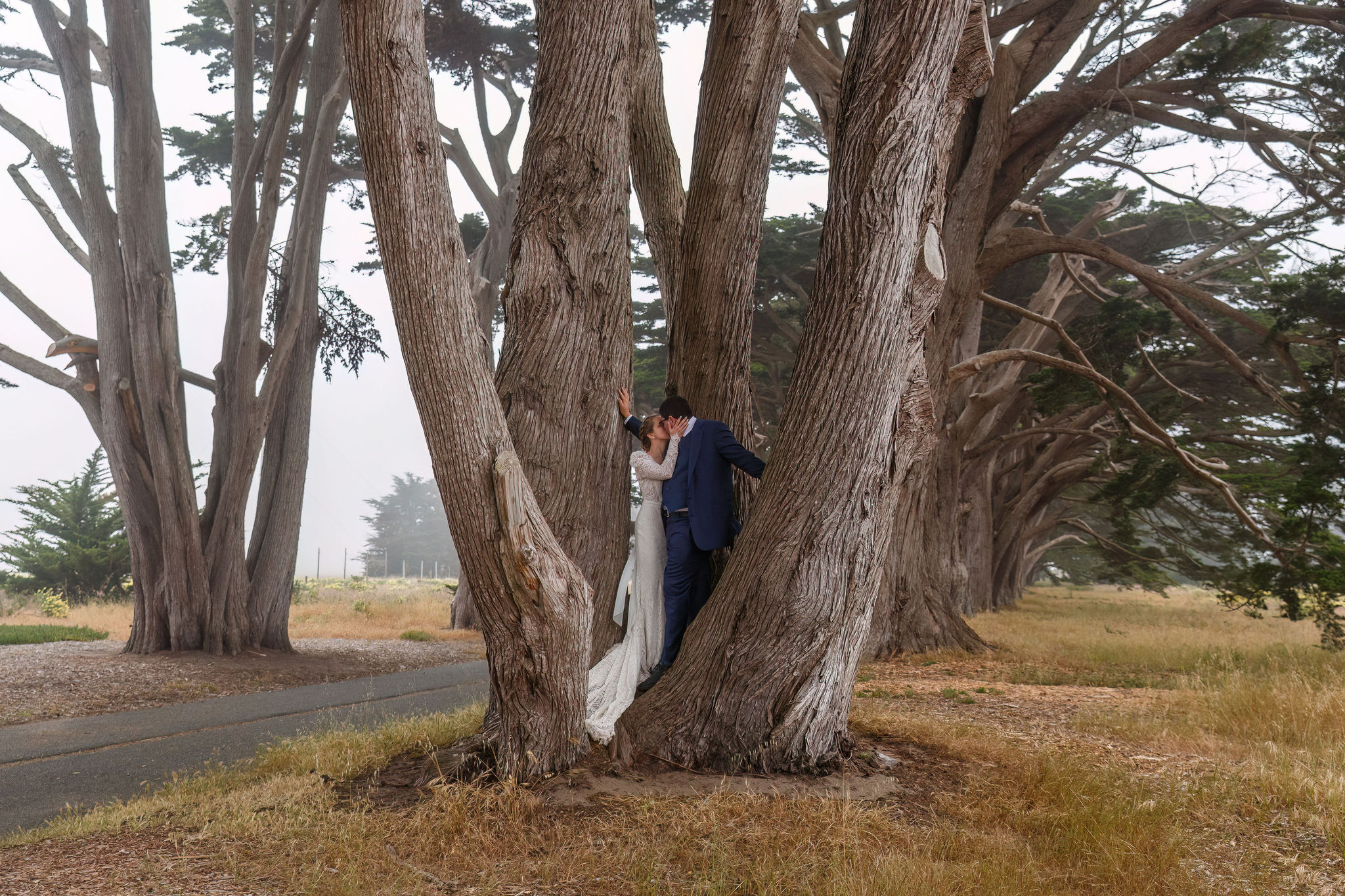 bride and groom in a tree together