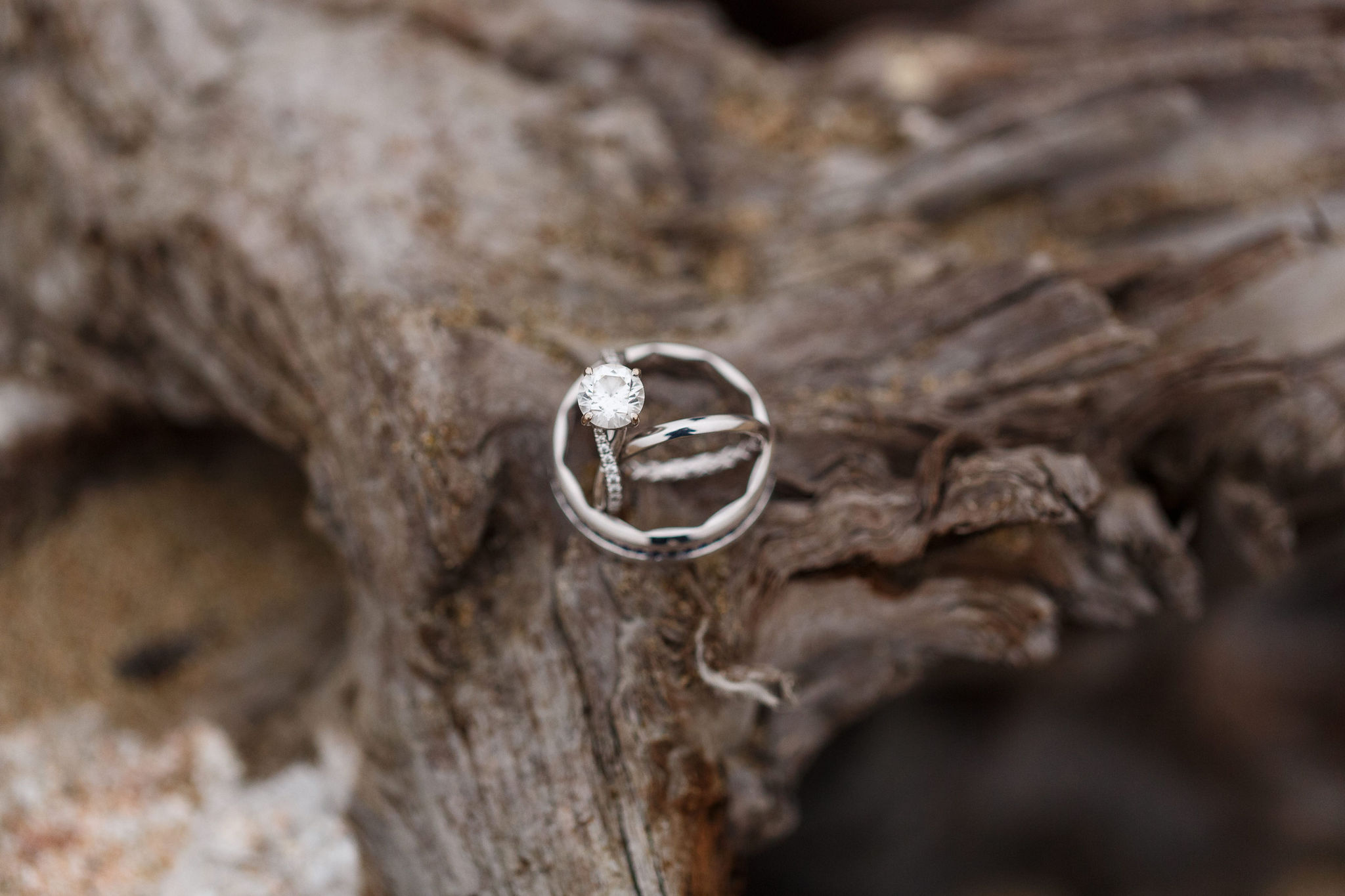 the bride and groom's rings on a tree