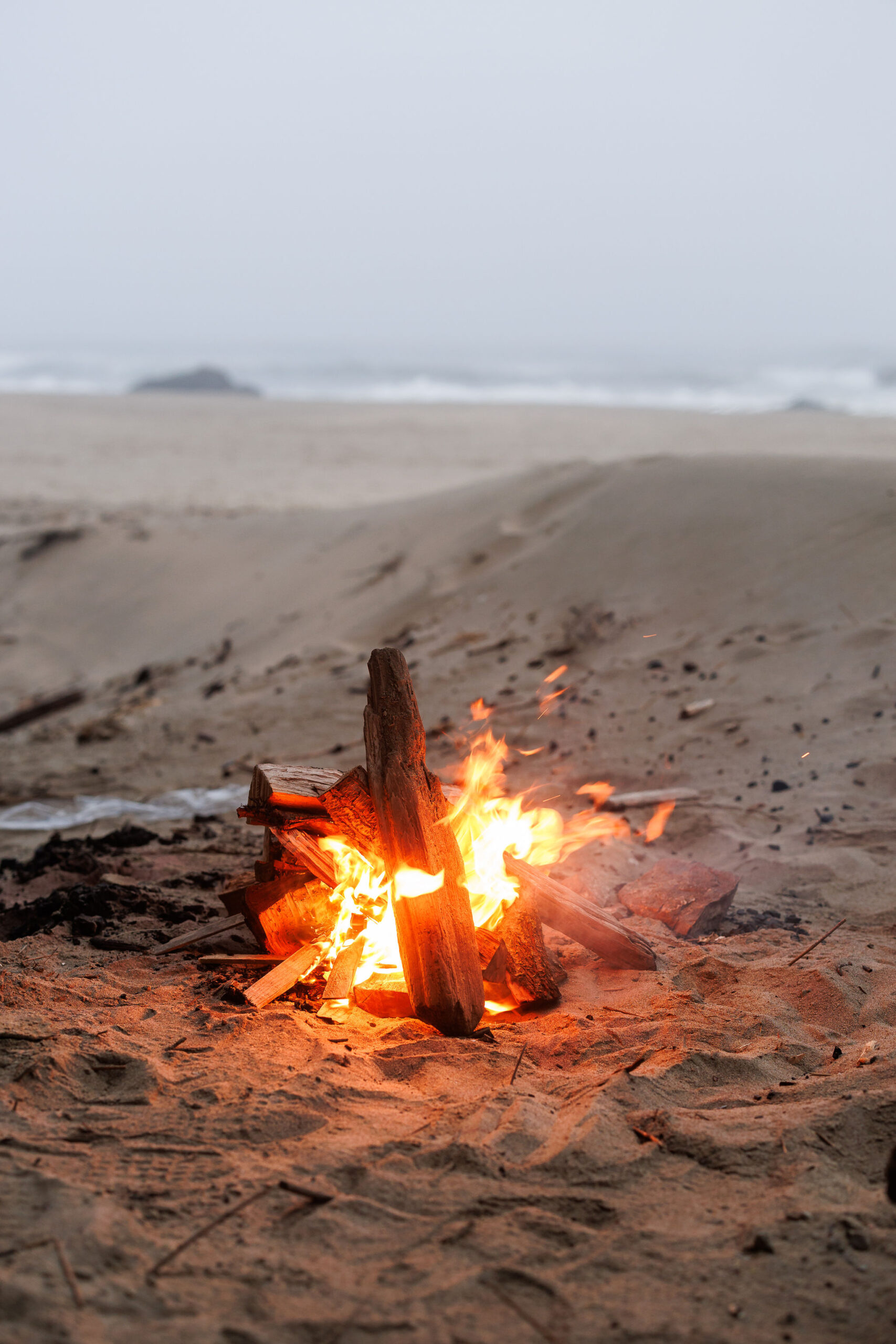the beach fire set up for the Point Reyes elopement