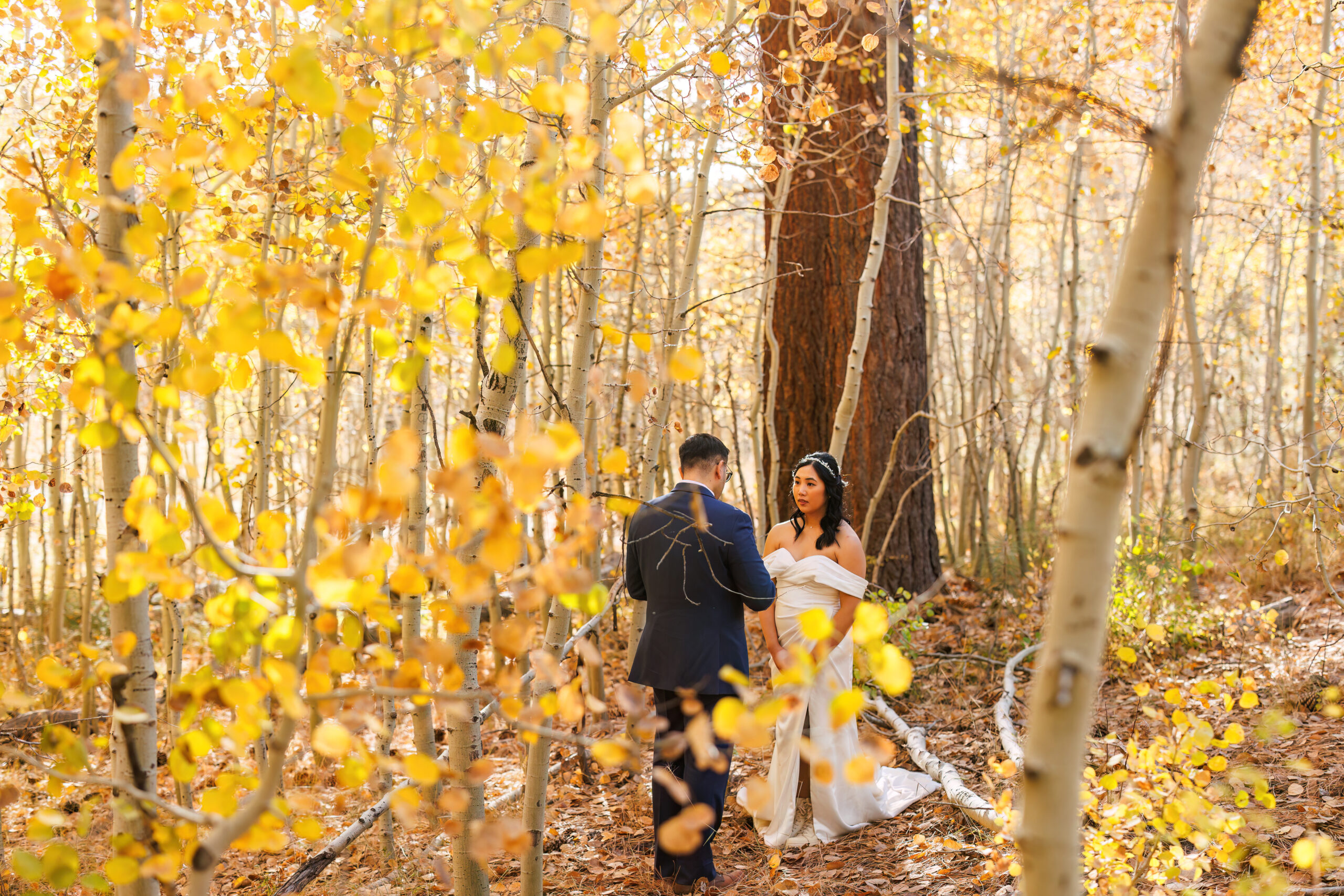 a mountain elopement ceremony in the aspens at lake tahoe